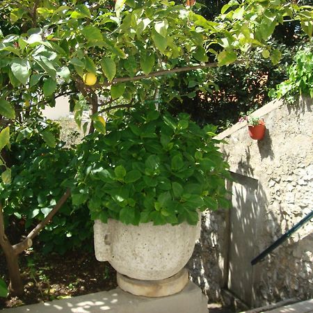 Guesthouse Manda Дубровник Екстер'єр фото